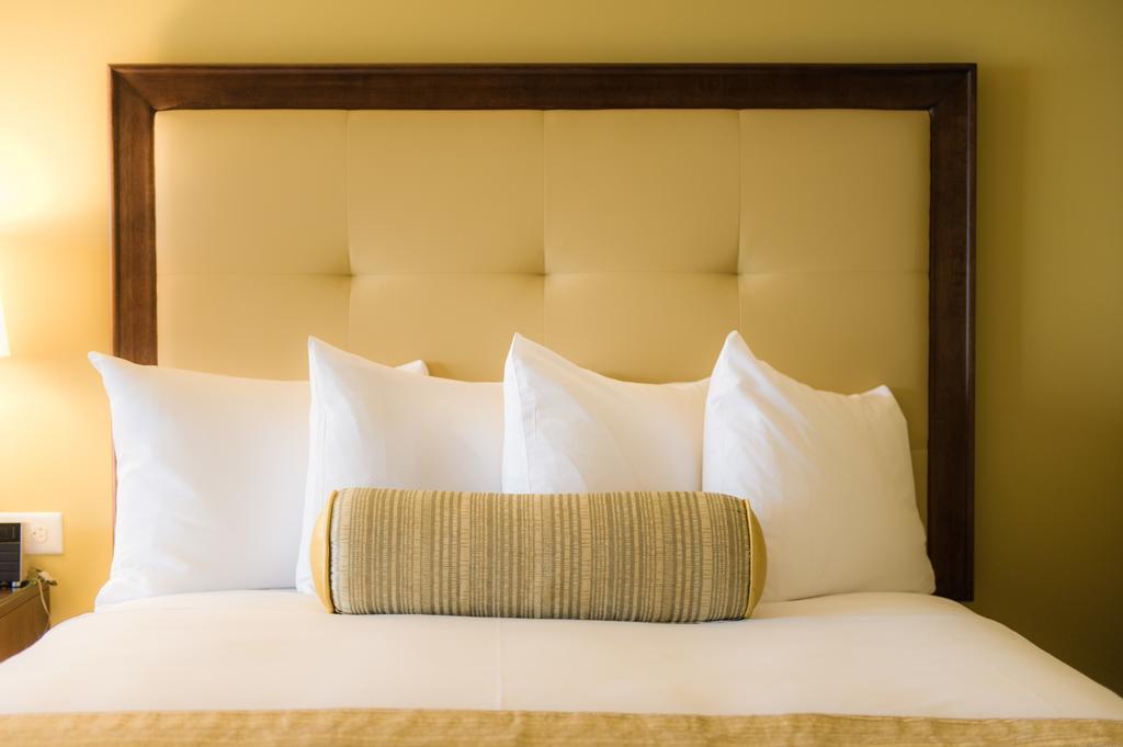 Hotel The Edgewater Madison Zewnętrze zdjęcie